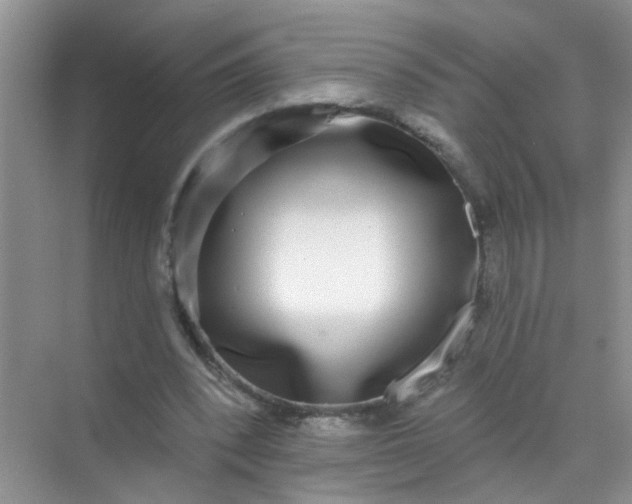X0000070240392200606161851