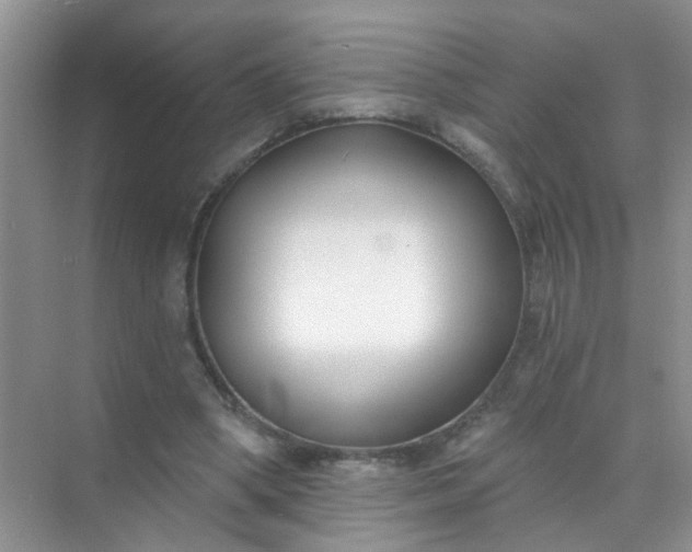 X0000070240394200606161851