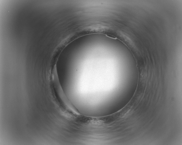 X0000070240403200606161851