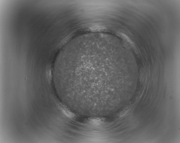 X0000070240405200606161851
