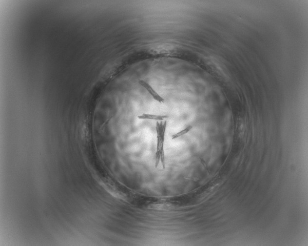 X0000070240408200606161851