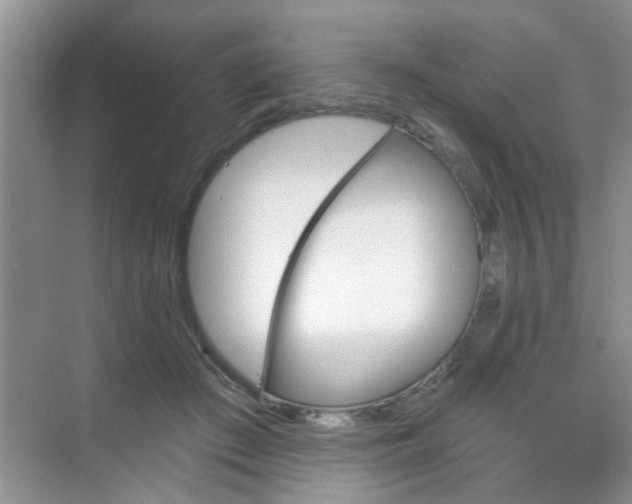 X0000070240409200606161851