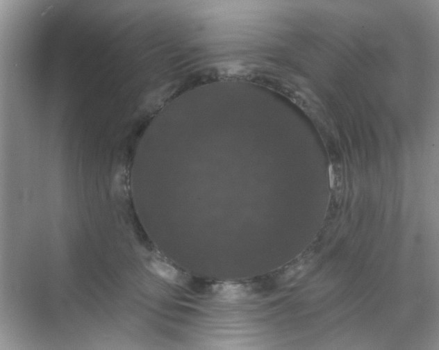 X0000070240419200606161851