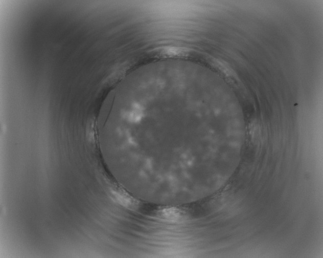 X0000070240423200606161851