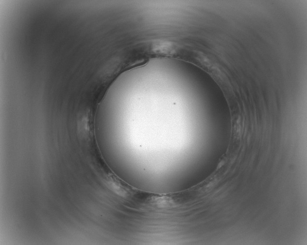 X0000070240424200606161851