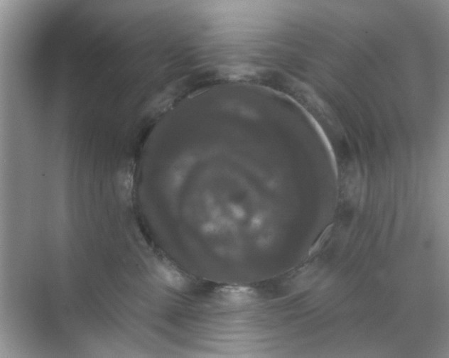 X0000070240427200606161851