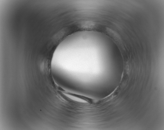 X0000070240428200606161851