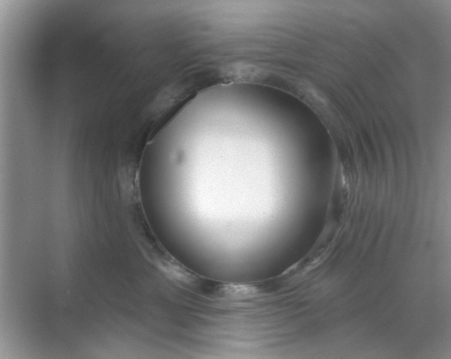 X0000070240429200606161851