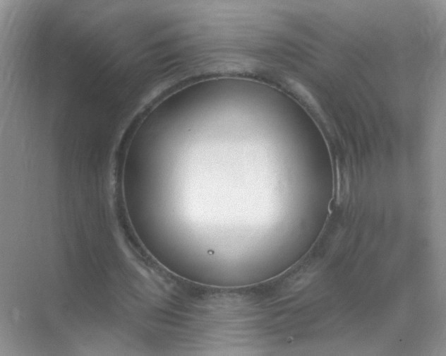 X0000070240435200606161850