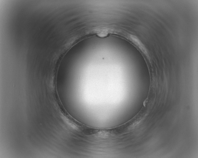 X0000070240441200606161850
