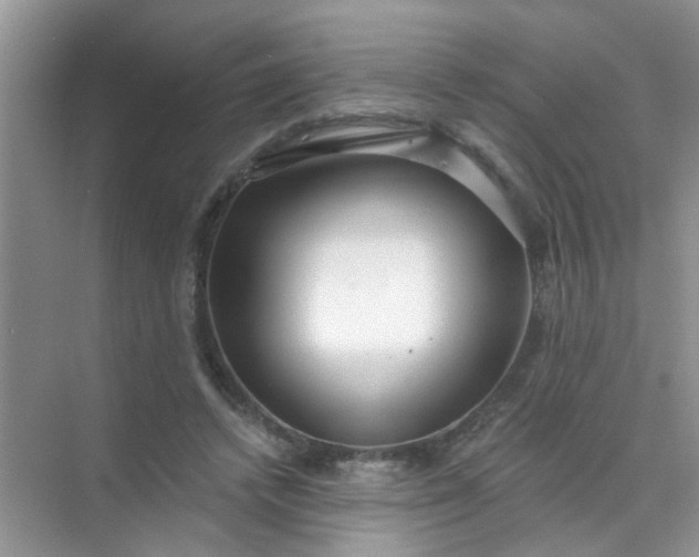 X0000070240448200606161850