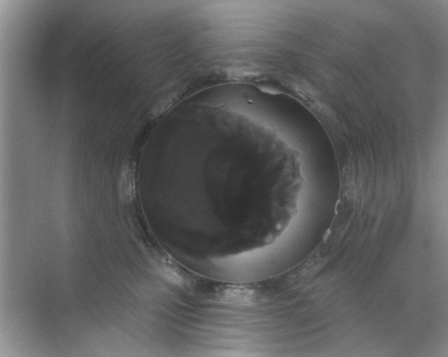 X0000070240471200606161850