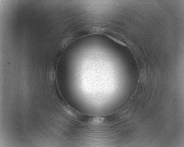 X0000070240474200606161850