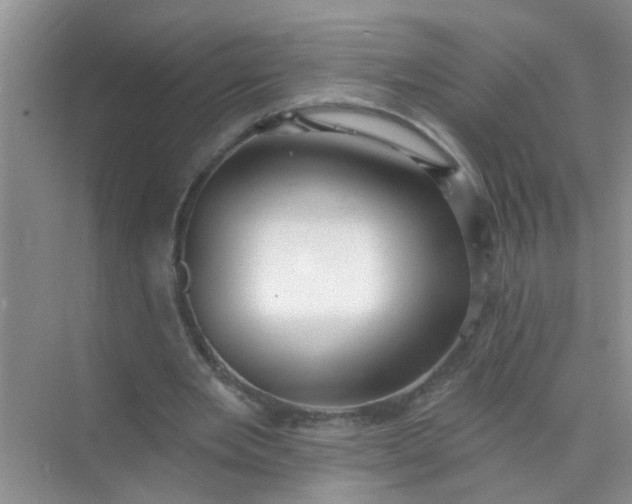 X0000070240485200606161850