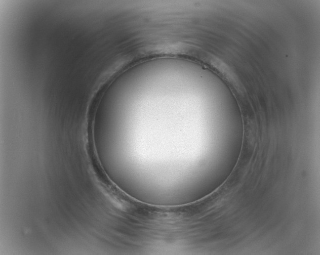 X0000070240486200606161850
