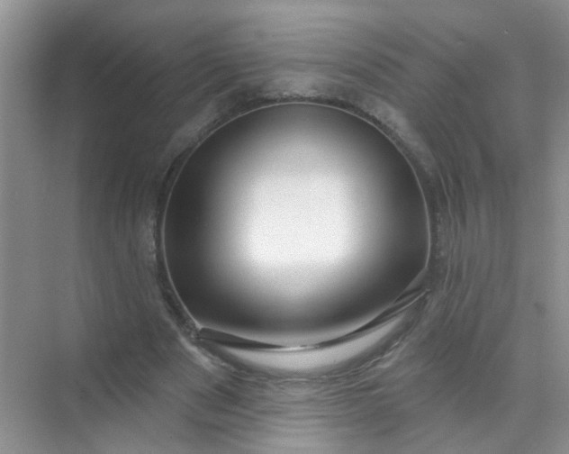X0000070240489200606161850