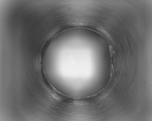 X0000070240490200606161850