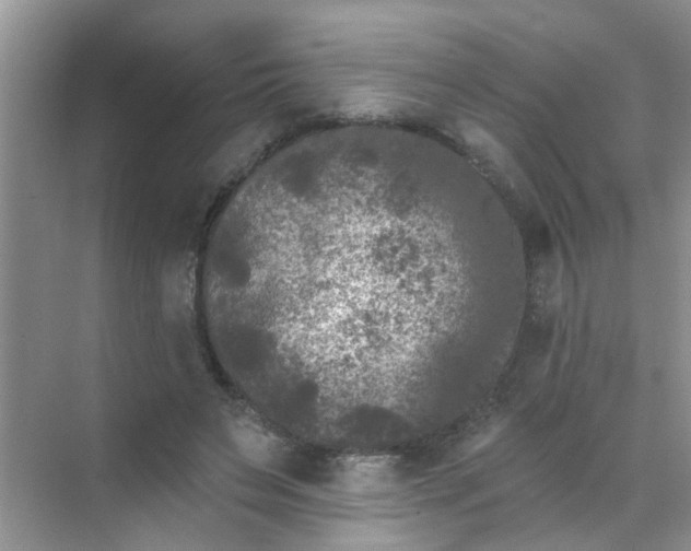 X0000070240495200606161849