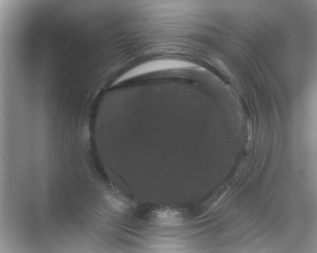 X0000070240500200606161849