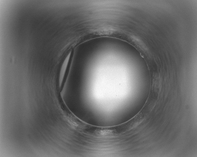 X0000070240501200606161849