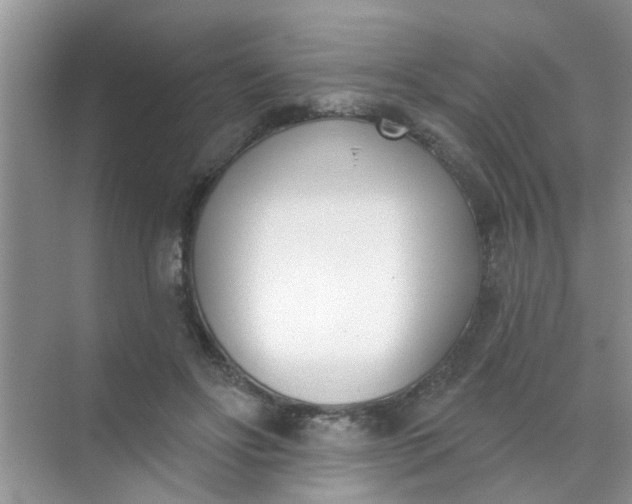 X0000070240502200606161849