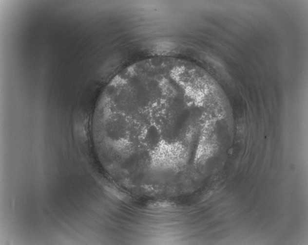 X0000070240503200606161849