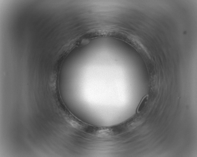 X0000070240505200606161849