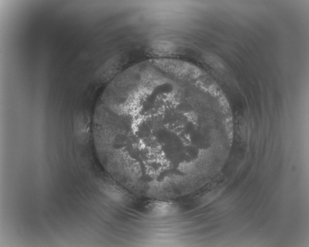 X0000070240507200606161849