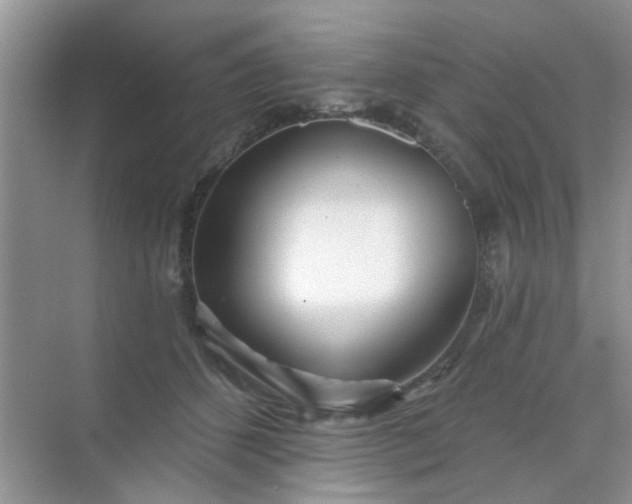X0000070240512200606161849