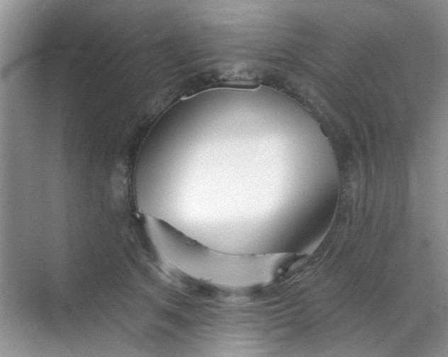 X0000070240513200606161849