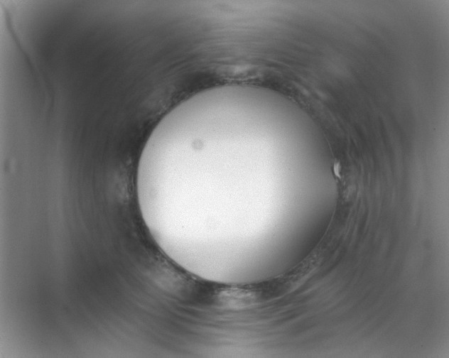 X0000070240515200606161849