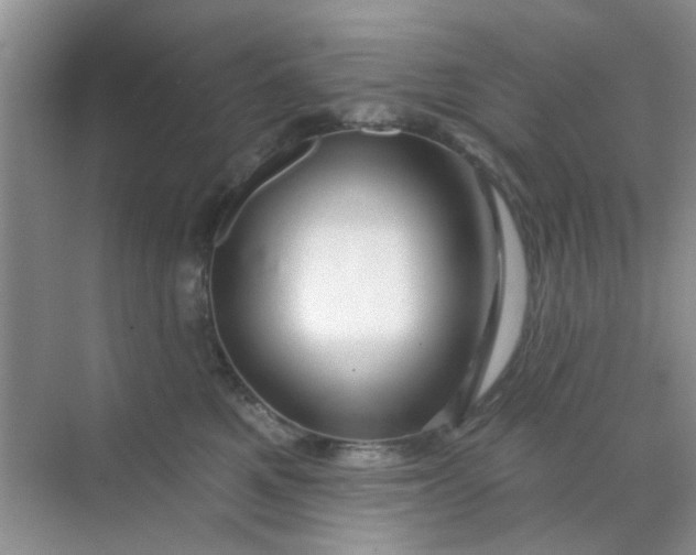 X0000070240521200606161849