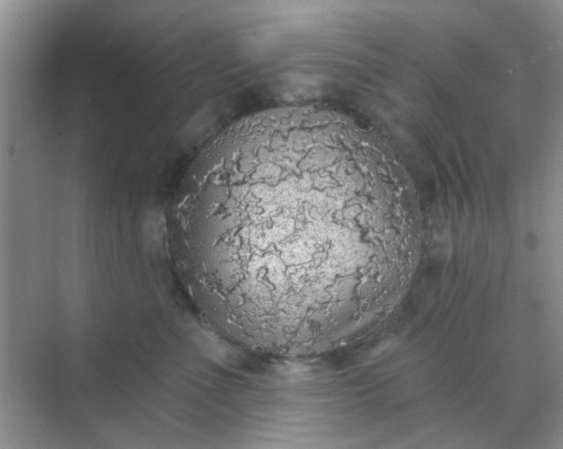 X0000070240523200606161849