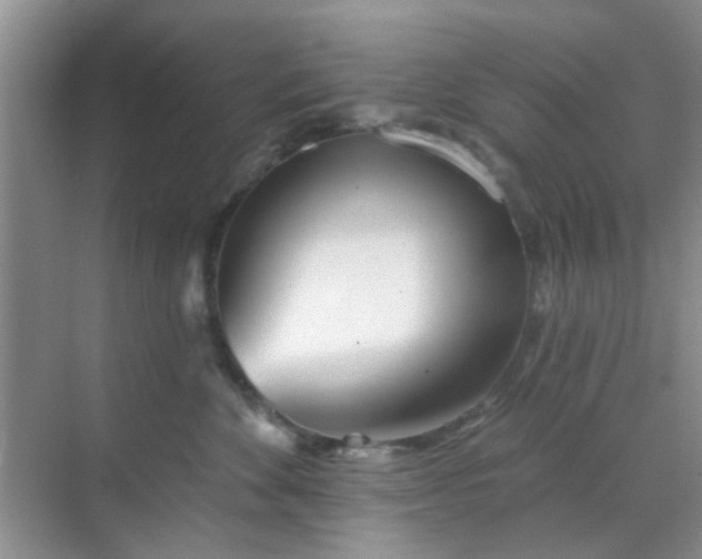 X0000070240524200606161849