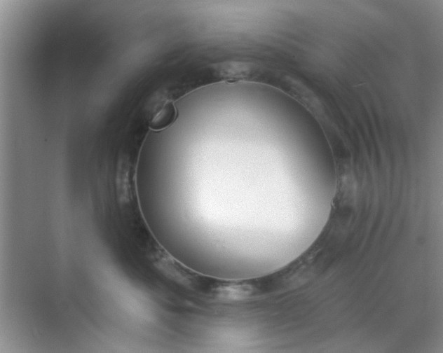 X0000070240525200606161849