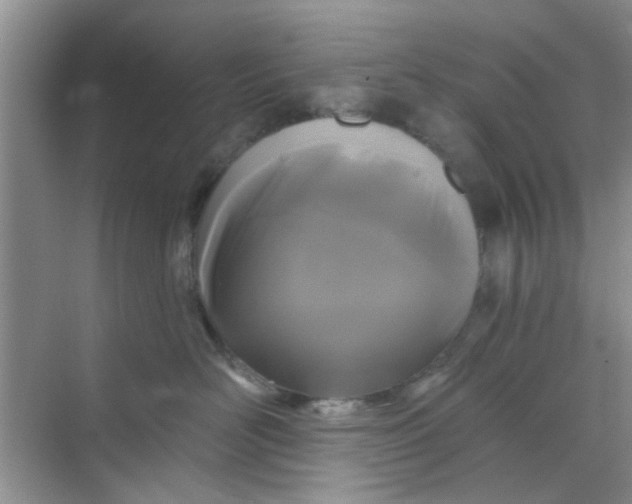 X0000070240526200606161849