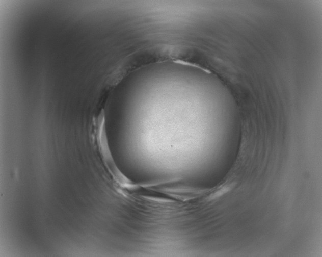 X0000070240528200606161849