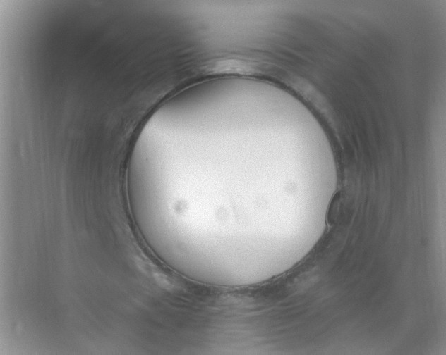 X0000070240529200606161848