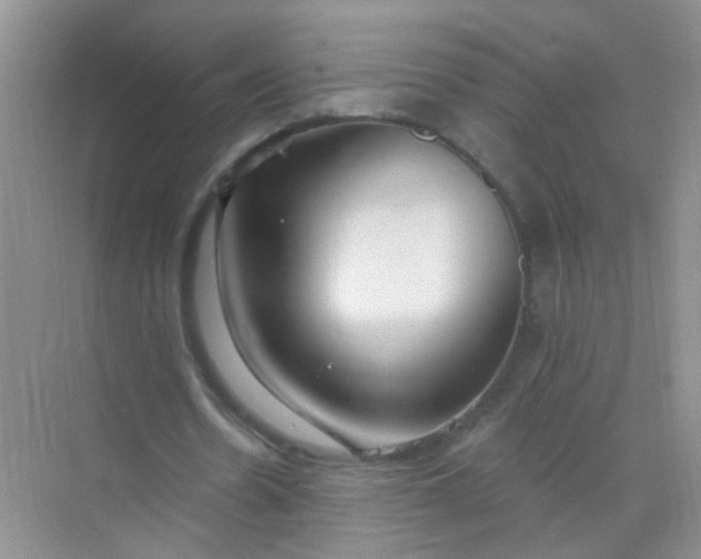 X0000070240530200606161848