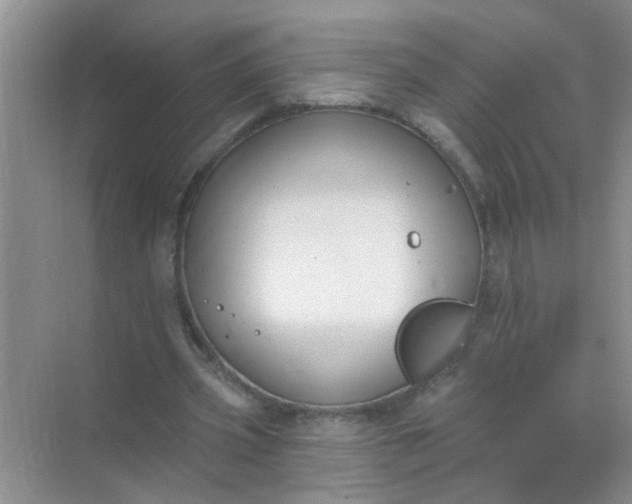 X0000070240533200606161848