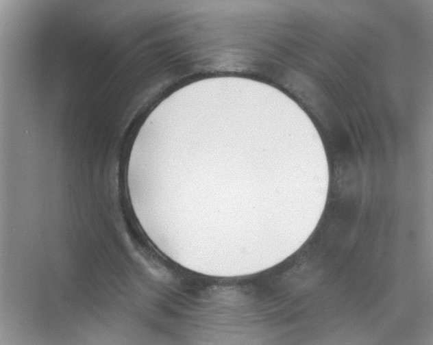 X0000070240534200606161848