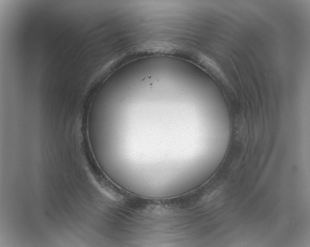 X0000070240538200606161848