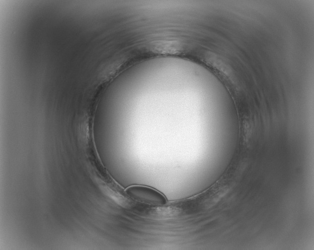 X0000070240541200606161848