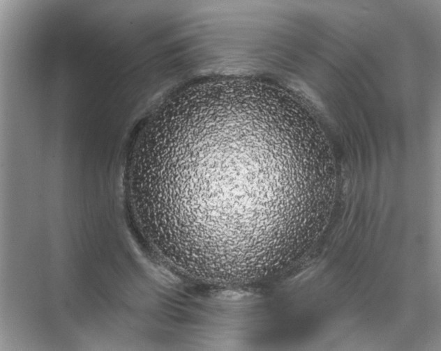 X0000070240542200606161848