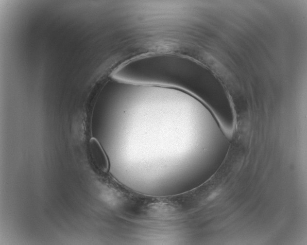 X0000070240544200606161848