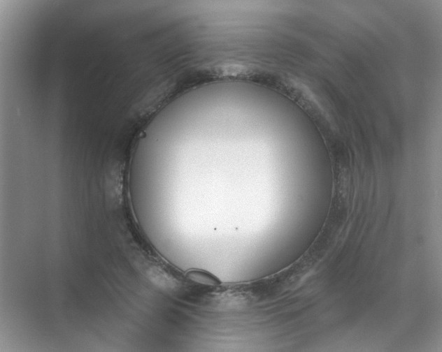 X0000070240545200606161848