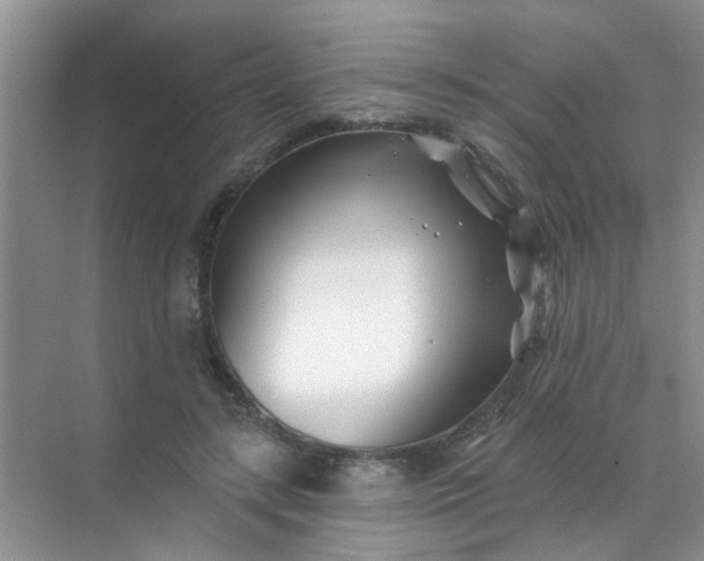 X0000070240547200606161848