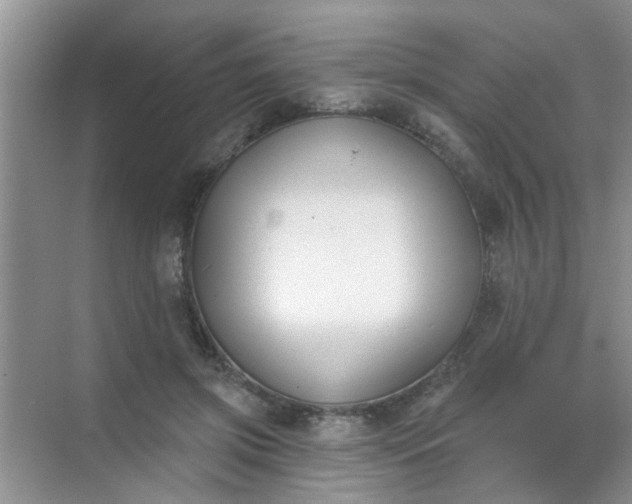 X0000070240549200606161848