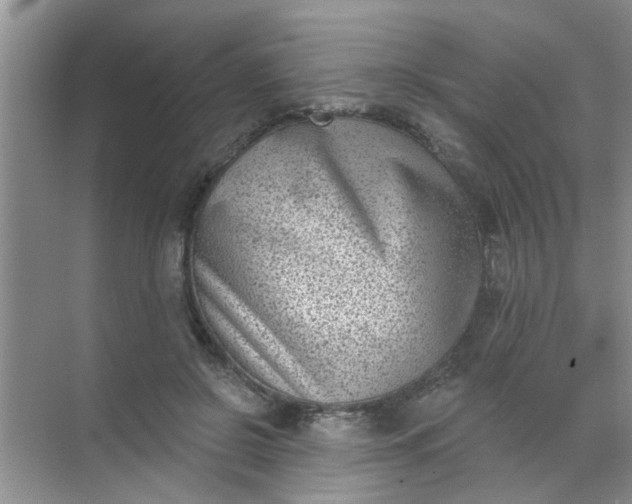 X0000070240550200606161848