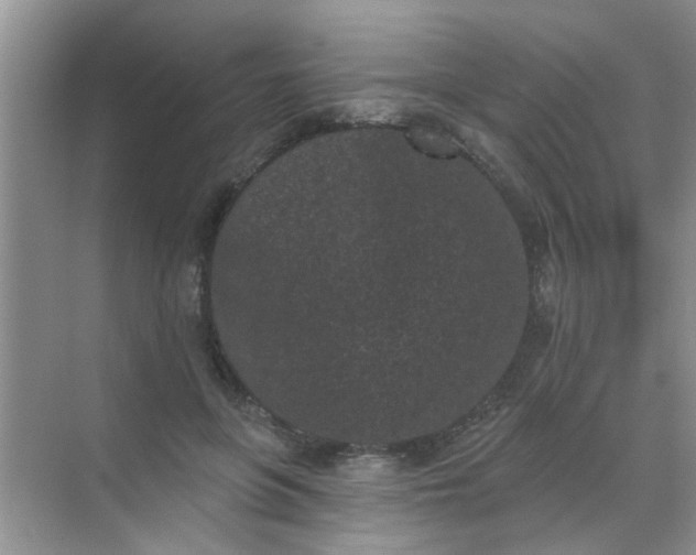 X0000070240551200606161848